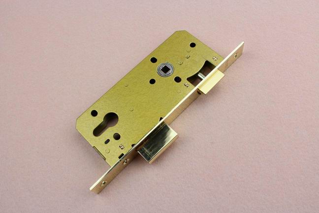 What are the characteristics of the passage latch lock body？